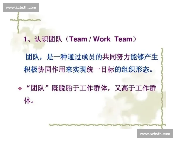 打造高效协作与凝聚力的体育团队建设实用策略研究