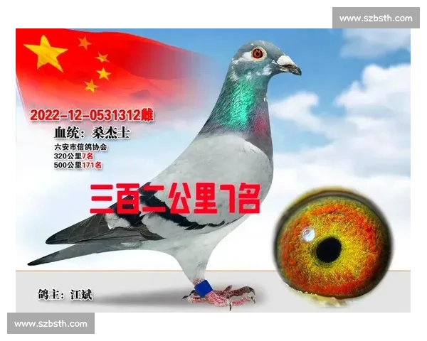 信鸽足环信息查询与比赛成绩统计分析指南